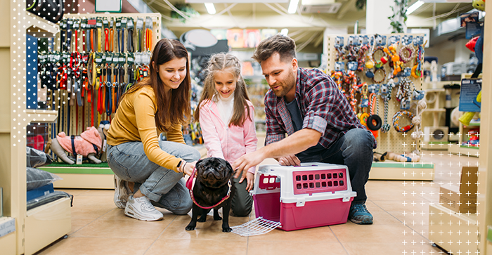 Marketing para pet shop: conheça 4 estratégias + case de sucesso
